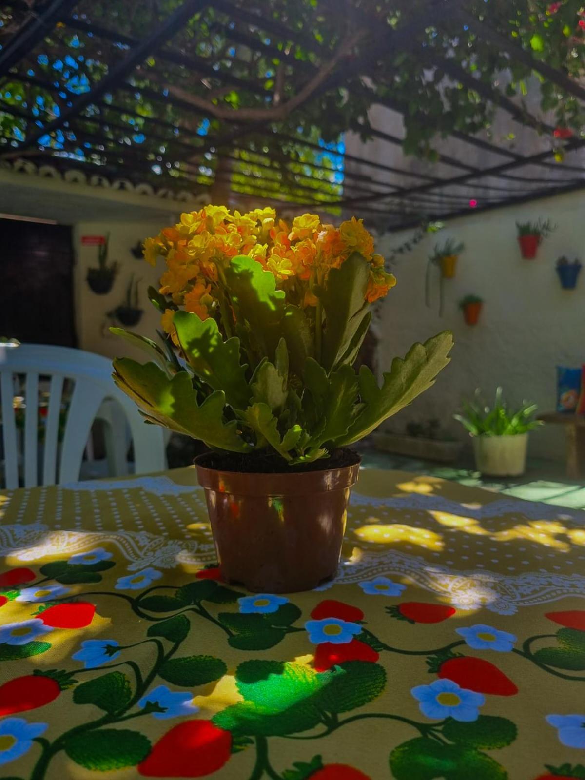 Pousada Residencial Pôrto das Galinhas エクステリア 写真