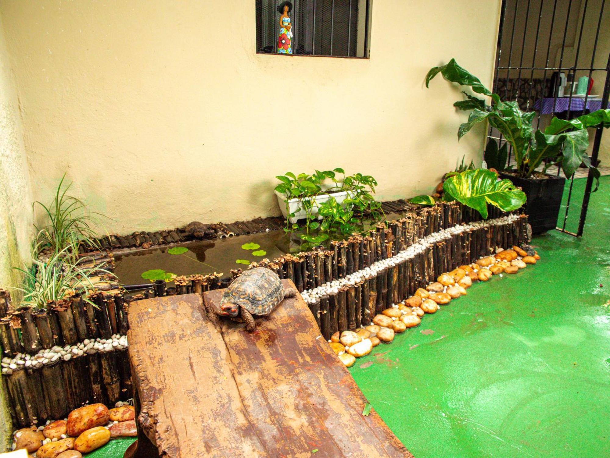 Pousada Residencial Pôrto das Galinhas エクステリア 写真